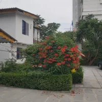 سوئیت ساحلی
