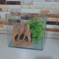 آکواریوم شرکتی شیشه خم در حد نو نو