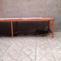 تخت آهنی