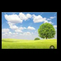 زمین ۱۵۳ متری