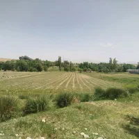 باغ-سیب-و-آلبالو-ثمری-1500متر-معادل-یک-جریب-و-نیم
