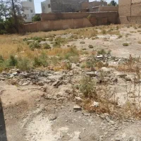 زمین-فروشی-کبوتر-خانه