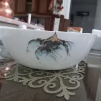 کاسه آرکوپال لومینارک فرانسه