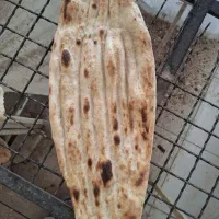شاطر شلاقی