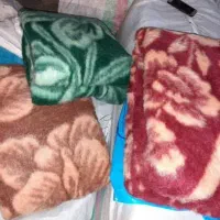 پتو نگین مدل گلدار فروش تعداد وخرده