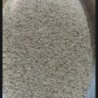 بذر