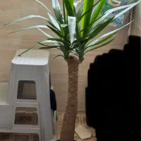 گل طبیعی