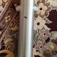 پوکه کمک جلو فابریک سالم همتاز