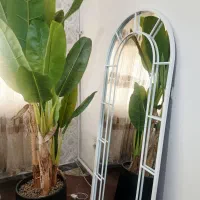 گل وگلدان و آینه