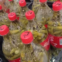 خیارشور. سیر. نخود پودر آویشن .آبغوره . سرکه سیب