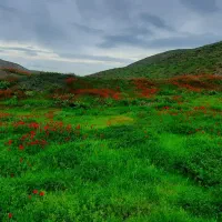زمین-فروشی-جاده-سلامت-حق-اولاد