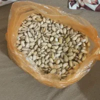 پسته خراسان درجه یک