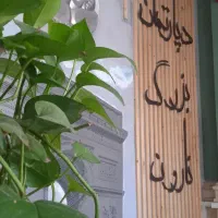 استخدام با درآمد دلاری