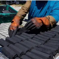 کارگر خانم اتباع