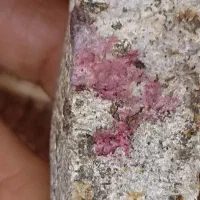 سنگ طلا، شجر،عقیق،یاقوت