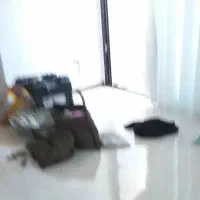نظافتچی منزل