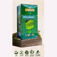 چای سبز امیر اعلم