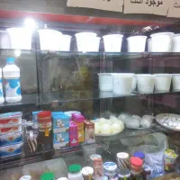 نیازمند کارگر خانم در لبنیاتی سرقنات