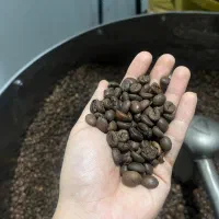 رست قهوه رست سفارشی دان قهوه