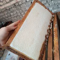 عسل بهار نارنج  سفید و پلمپ