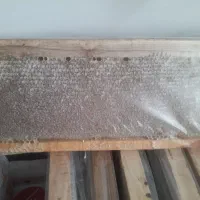 عسل تابستان