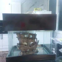 آکواریوم با باکس ام دی اف