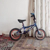 دوچرخه ۱۲ درحد