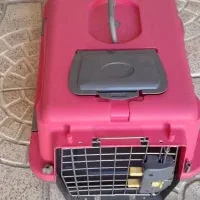 باکس سگ وگربه