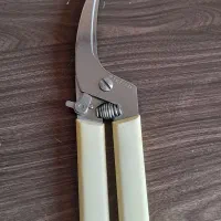 قیچی مرغ وماهی برابانتیا اصل