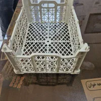 سبد میوه