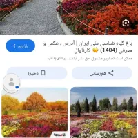 نگهبانی پرستاری
