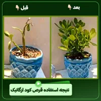 قرص کود نانو +تضمینی
