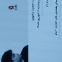 ۲ بلیط کنسرت مجید رضوی