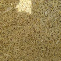 جو‌.|عمده‌فروشی|کوهدشت, |دیوار