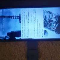 Hawaii y5|موبایل|تربت‌حیدریه, پائین ولایت|دیوار
