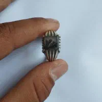 انگشتر شجره نقره