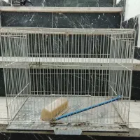 قفس پرنده
