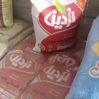 برنج فردین پاکستانی۱۱۲۱