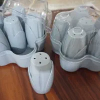 دو دست نمکدان ۶ عددی با باکس