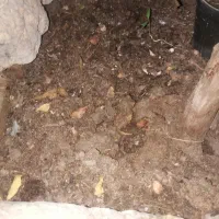 زمین فروشی آینده دار