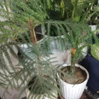 تمیزکاری خونه و مغازه