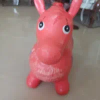 اسب