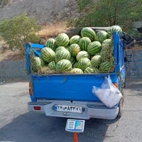 هندوانه