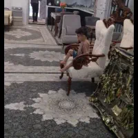 ۸۵متر رهن شهرک دانشگاه