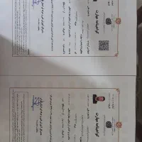 کارشناسی رنگ و فنی بدنه خودرو ،غرب شرق شمال تهران