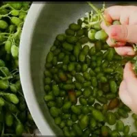 آبغوره طبیعی وخانگی