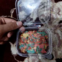 غذای پولکی ماهی گیاه خوار گوپی ، قرمز و ...