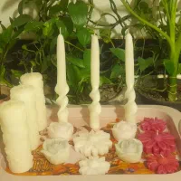 شمع کرج/تنوع بالا/قیمت مناسب/هم حضوری هم ارسال