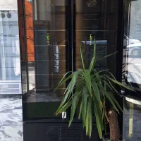 یخچال‌ایستاده دو درب تهران سرما