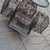 قفس چهارطرفه تهرانی